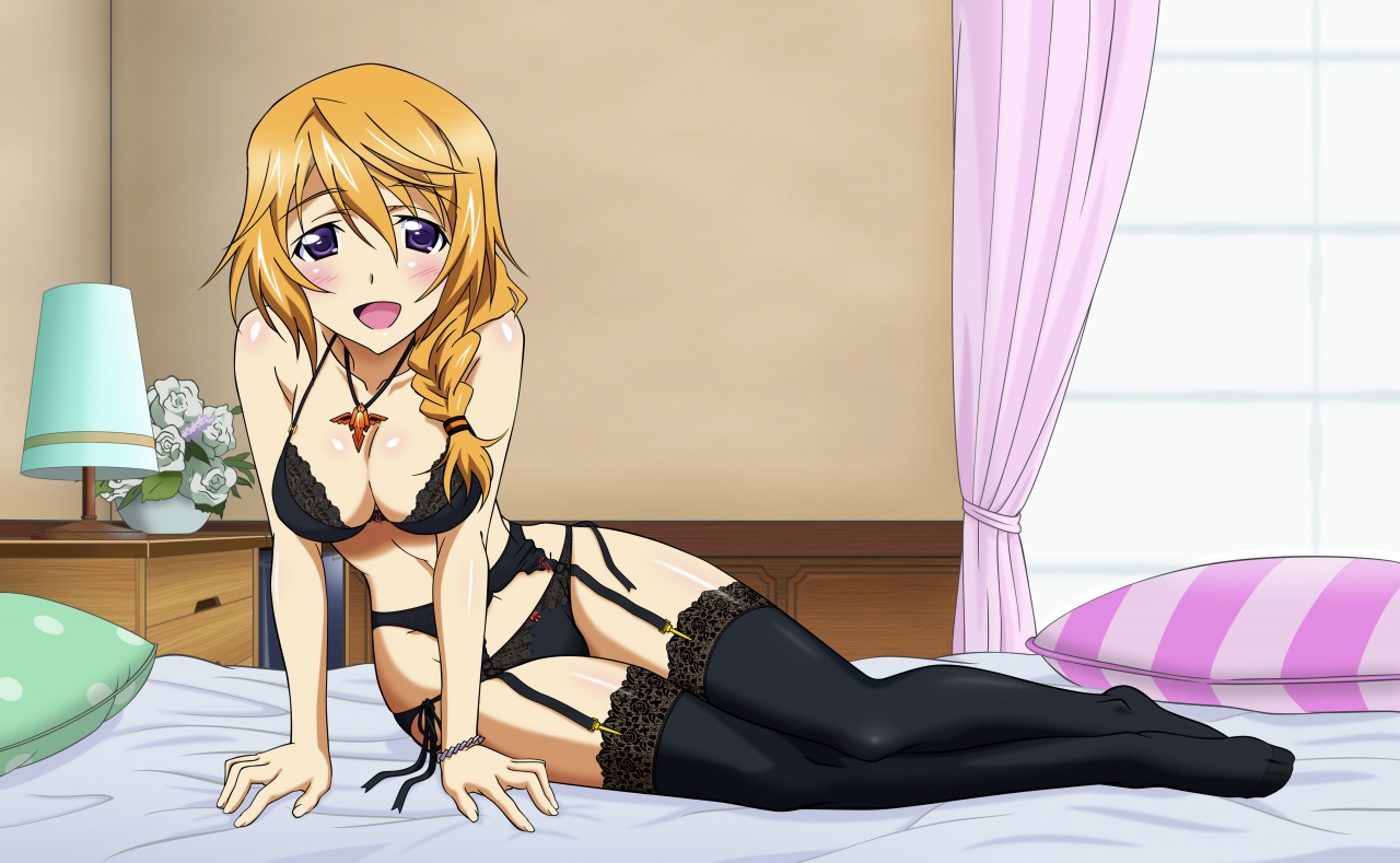 Infinite stratos (+18)