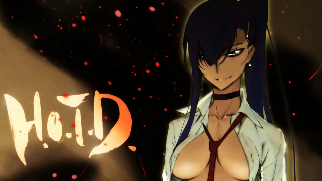 HIGH SCHOOL OF THE DEAD