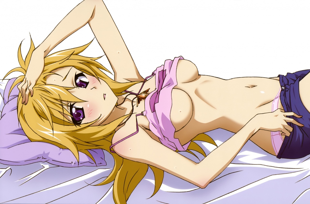 Infinite stratos (+18)