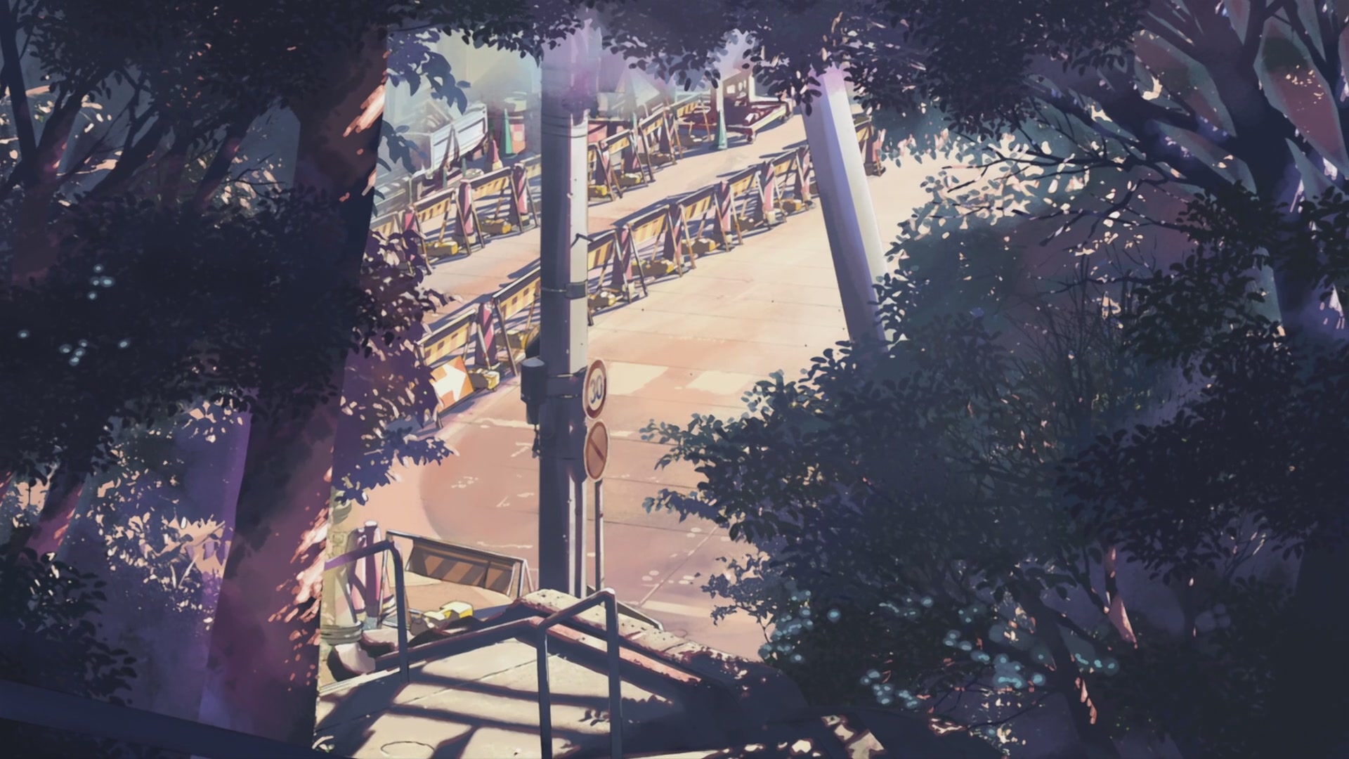 5 Centimeters per Second