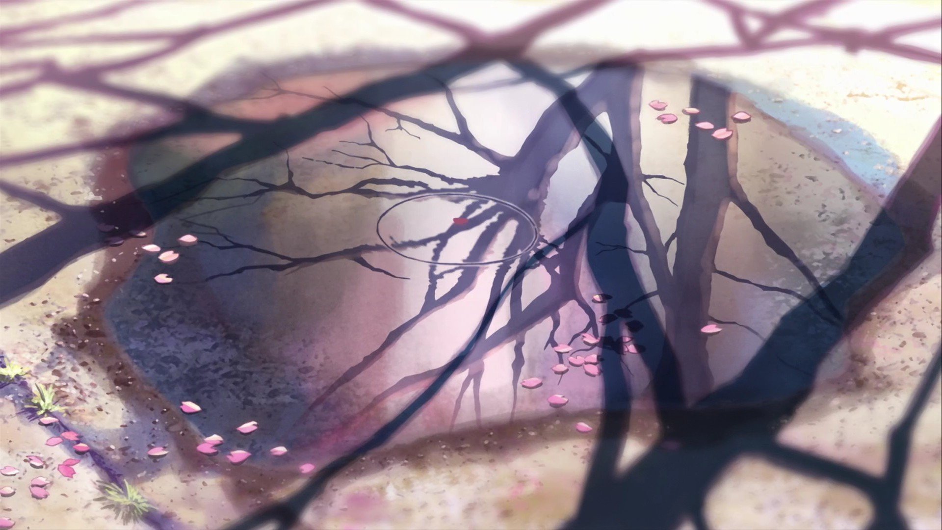 5 Centimeters per Second