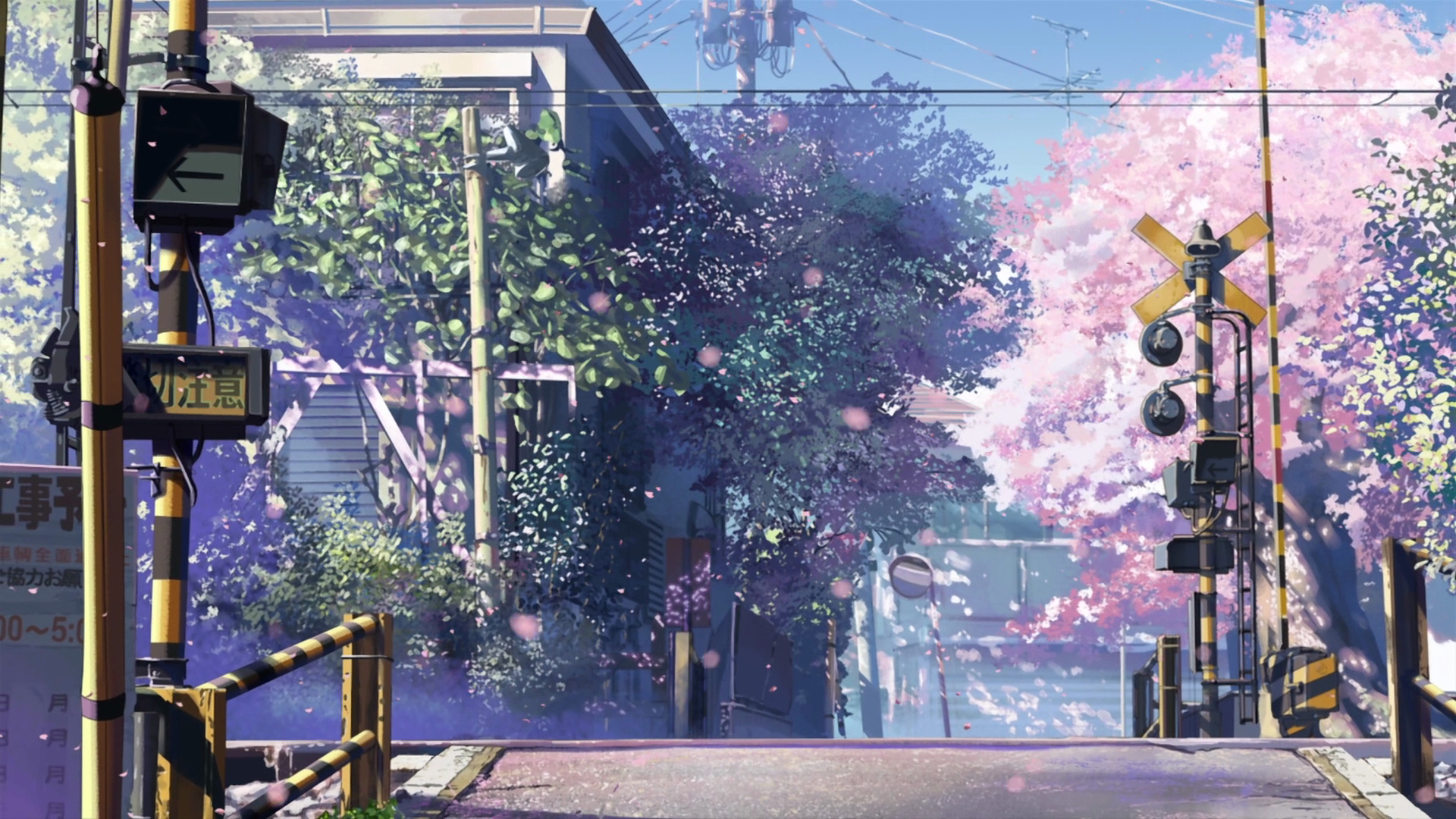 5 Centimeters per Second