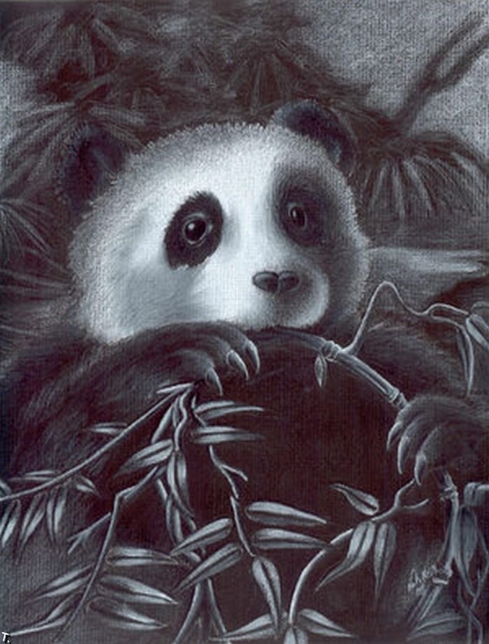 In Another Life, When Sun Are Panda) 