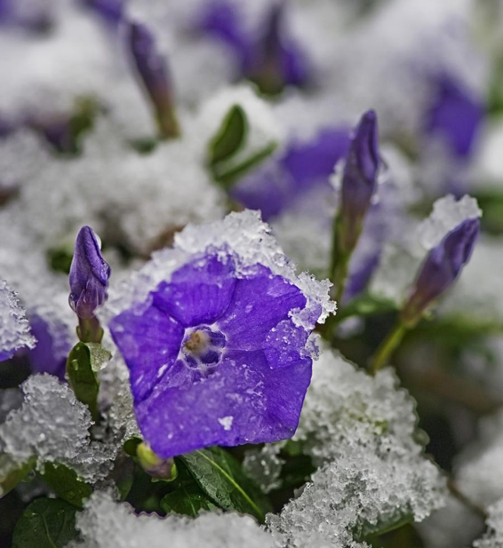 Spring mood - для всех весна разная, для кого то справа, а для кого то слева, радуемся!