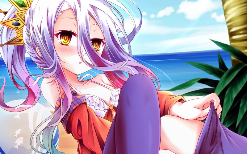 No Game No Life Restart v2